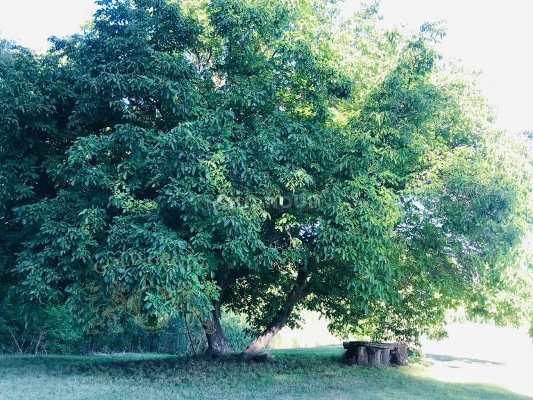 Lote en Venta en Tunuyan, Mendoza