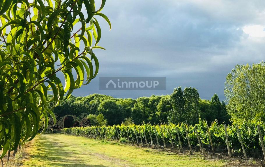 Lote en Venta en Tunuyan, Mendoza