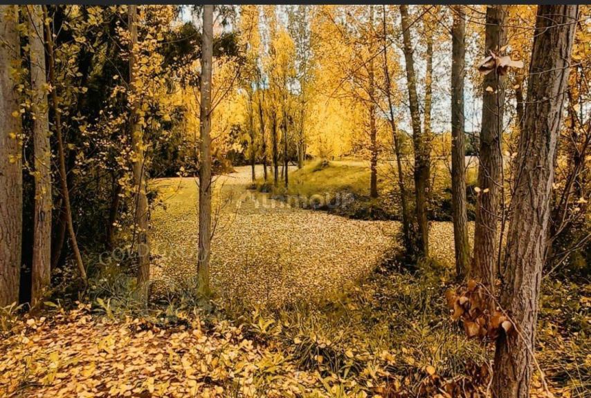Lote en Venta en Tunuyan, Mendoza