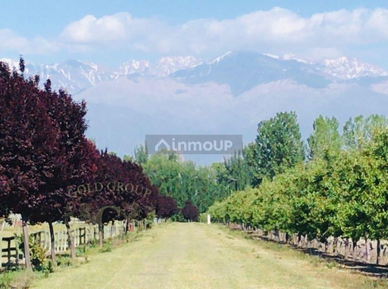 Lote en Venta en Tunuyan, Mendoza