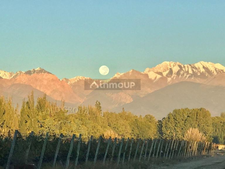Lote en Venta en Tunuyan, Mendoza