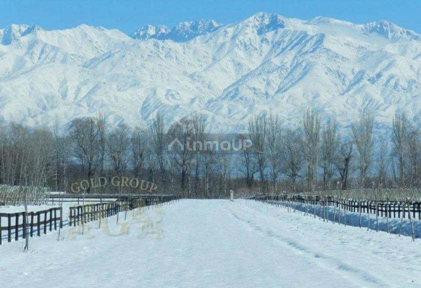 Lote en Venta en Tunuyan, Mendoza