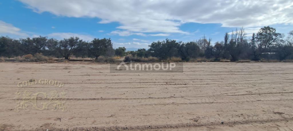 Lote en Venta en Maipu, Mendoza