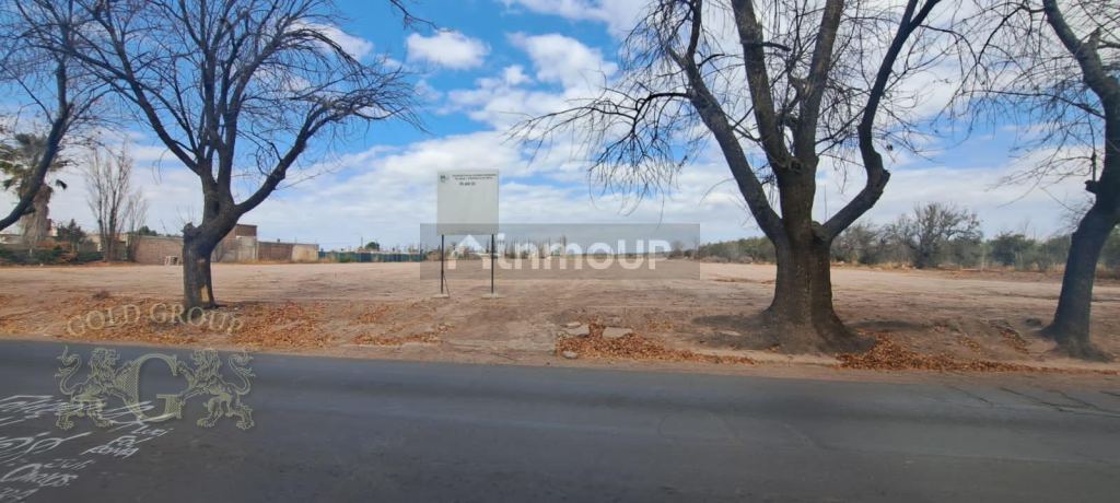 Lote en Venta en Maipu, Mendoza