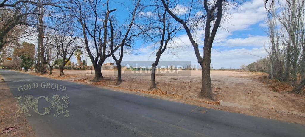 Lote en Venta en Maipu, Mendoza