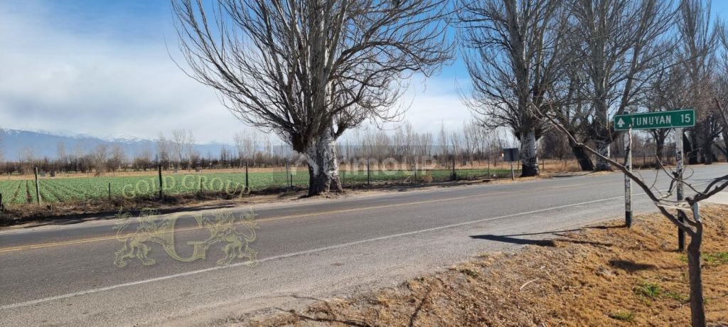 Lote en Venta en Tunuyan, Mendoza