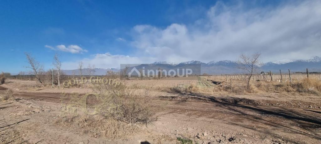 Lote en Venta en Tunuyan, Mendoza