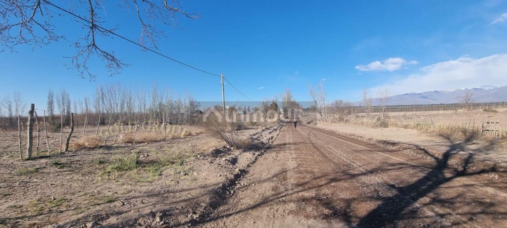 Lote en Venta en Tunuyan, Mendoza