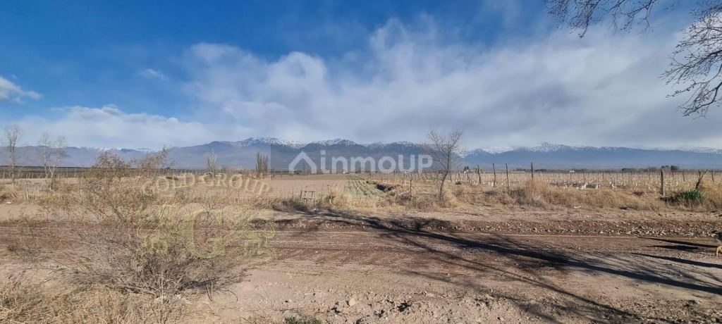 Lote en Venta en Tunuyan, Mendoza