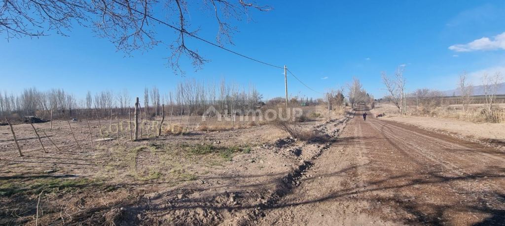 Lote en Venta en Tunuyan, Mendoza