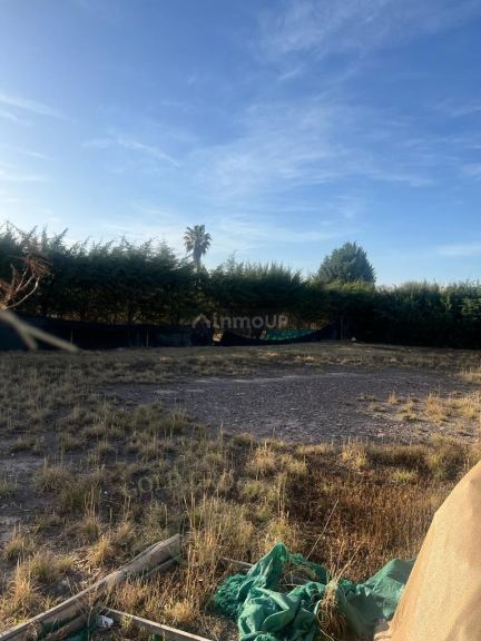 Lote en Venta en Lujan de Cuyo, Mendoza