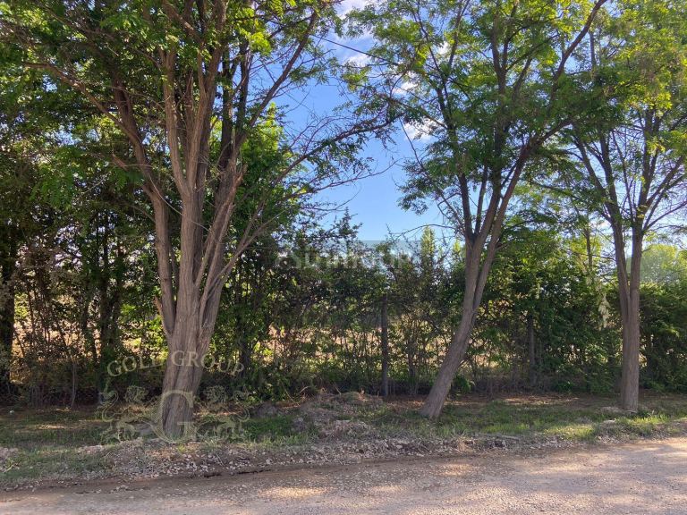 Terreno en Venta en Lujan de Cuyo, Mendoza