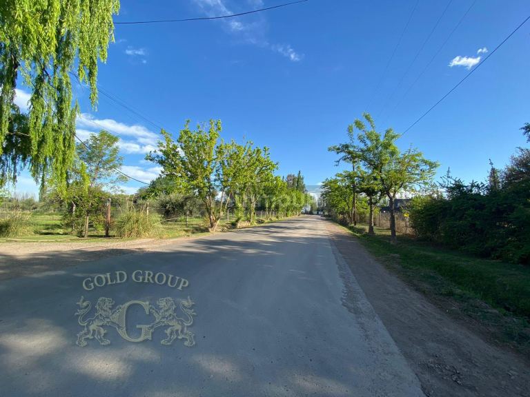 Terreno en Venta en Lujan de Cuyo, Mendoza