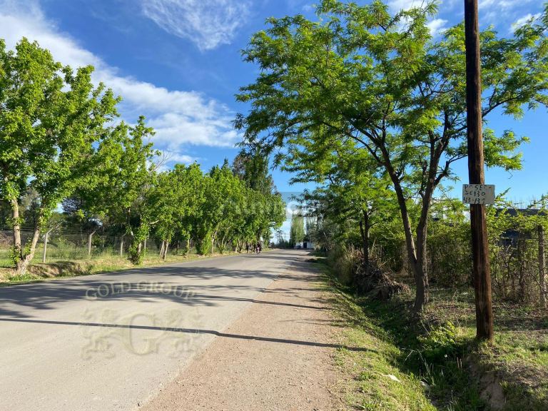 Terreno en Venta en Lujan de Cuyo, Mendoza