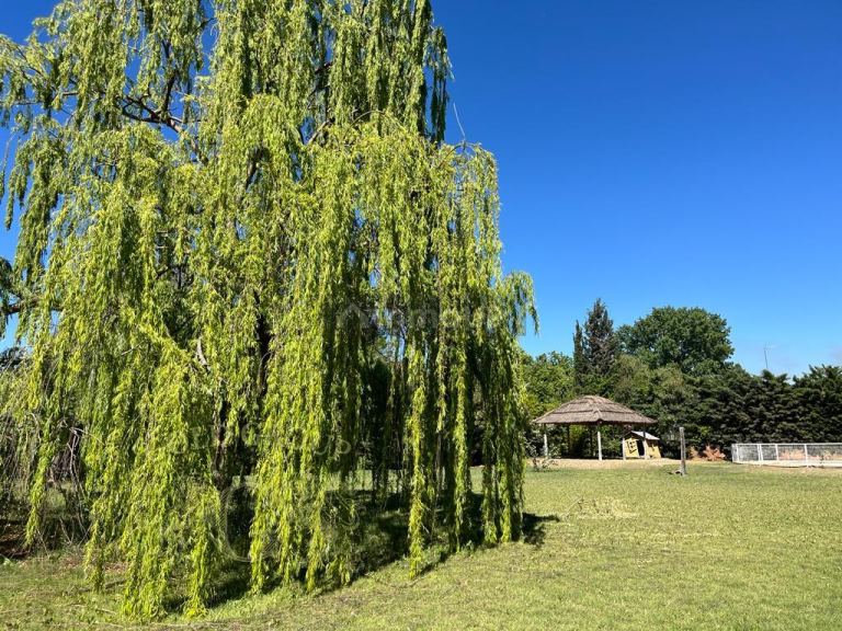 Casa en Venta en San Martin, Mendoza
