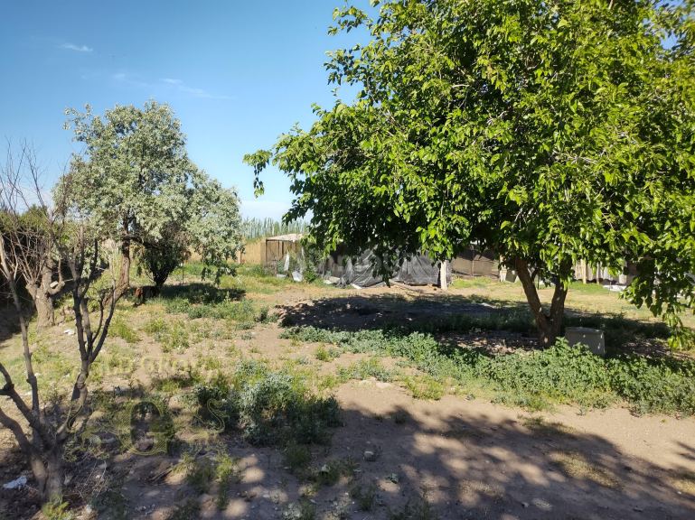 Casa en Venta en San Rafael, Mendoza
