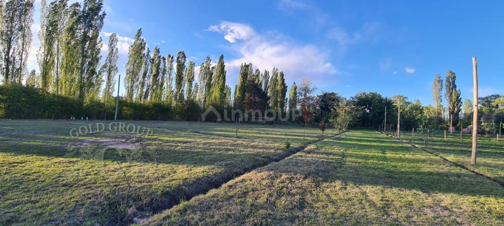 Lote en Venta en San Rafael, Mendoza