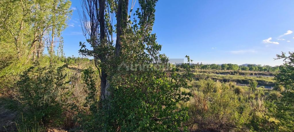 Lote en Venta en San Rafael, Mendoza