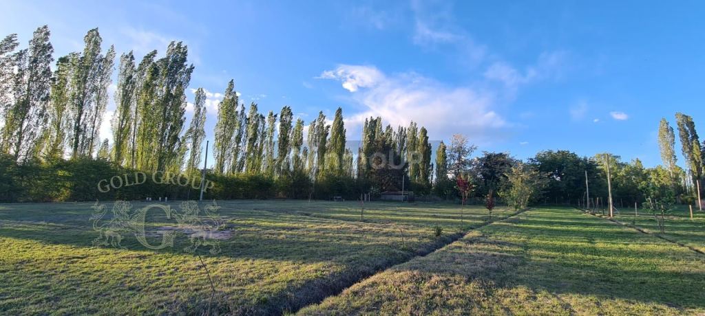 Lote en Venta en San Rafael, Mendoza