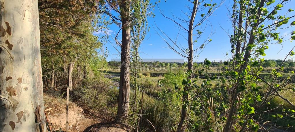 Lote en Venta en San Rafael, Mendoza