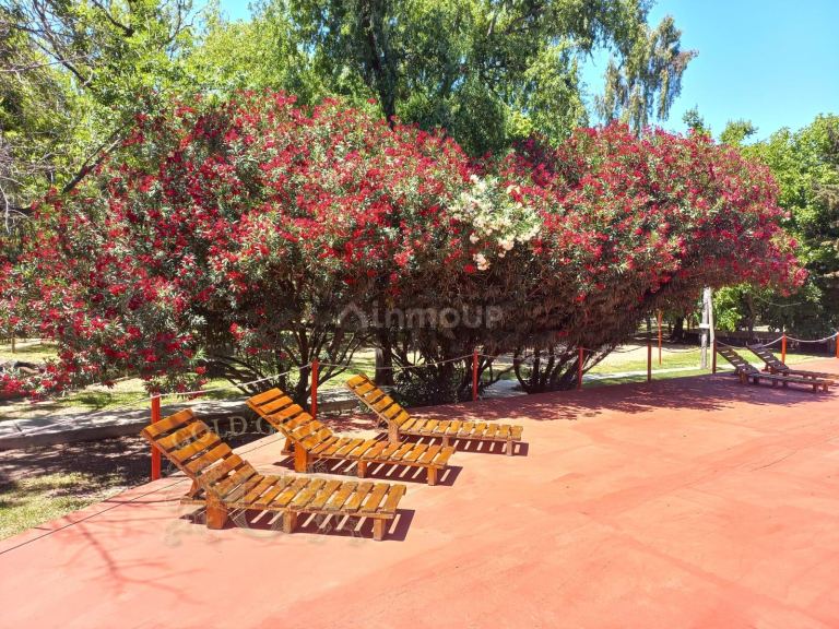 Casa en Alquiler en Maipu, Mendoza