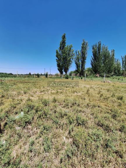 Lote en Venta en Maipu, Mendoza