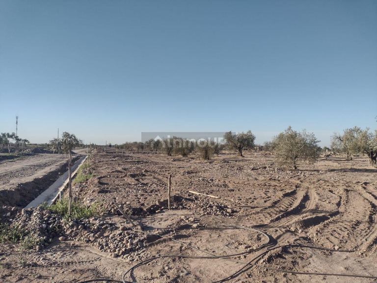Lote en Venta en Maipu, Mendoza
