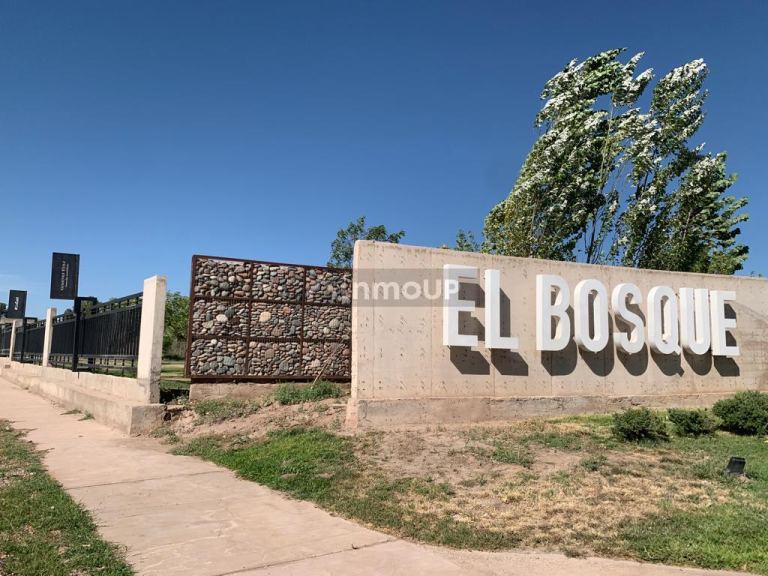 Terreno en Venta en Maipu, Mendoza