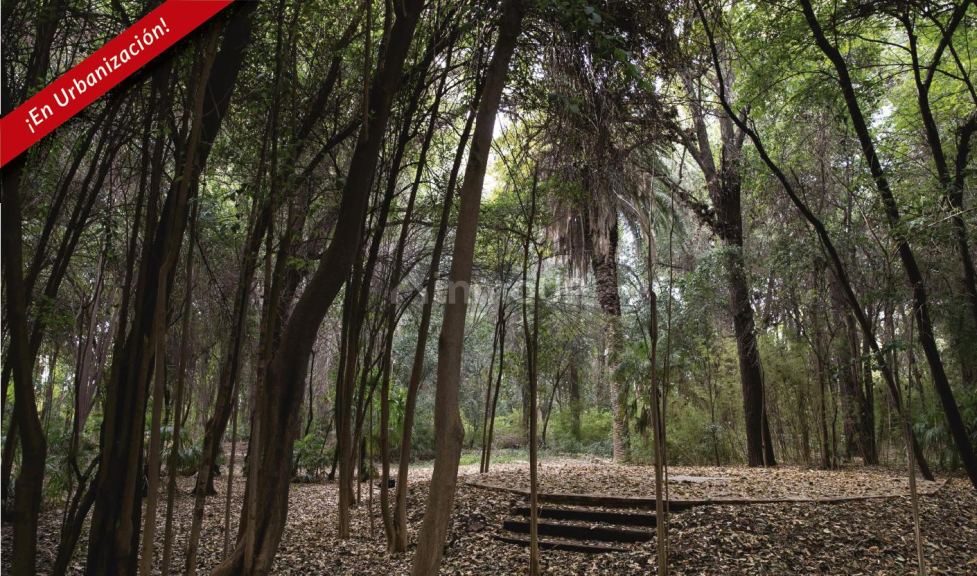 Terreno en Venta en Maipu, Mendoza