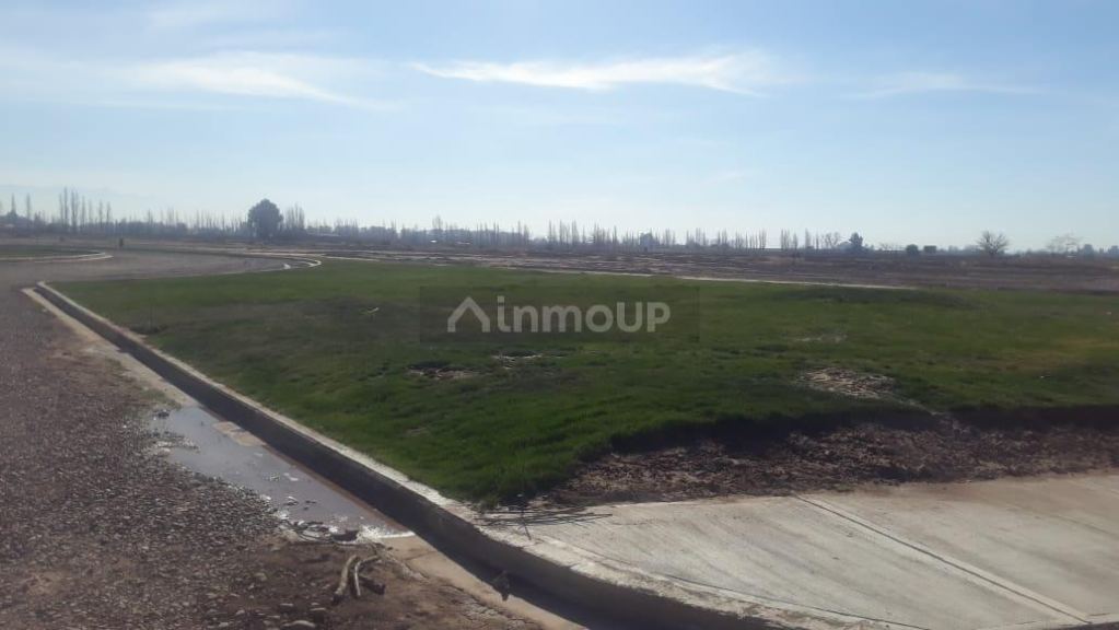 Terreno en Venta en Maipu, Mendoza