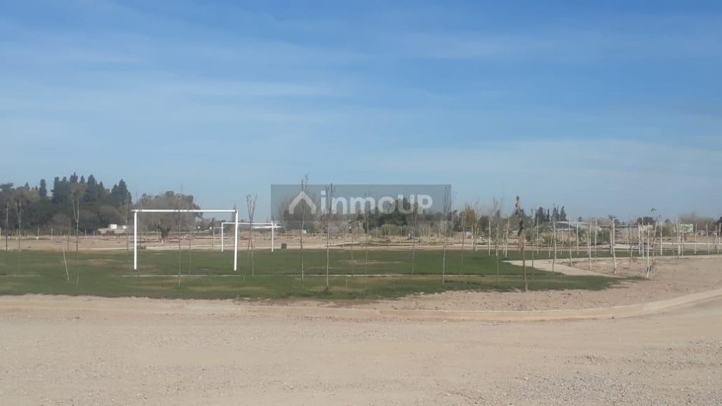 Terreno en Venta en Maipu, Mendoza