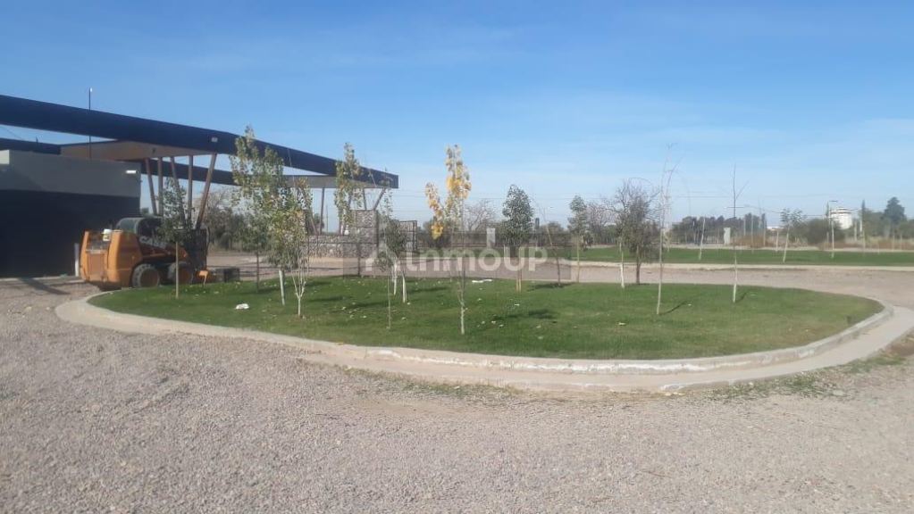 Terreno en Venta en Maipu, Mendoza