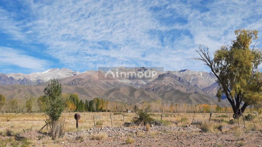 Finca en Venta en Las Heras, Mendoza