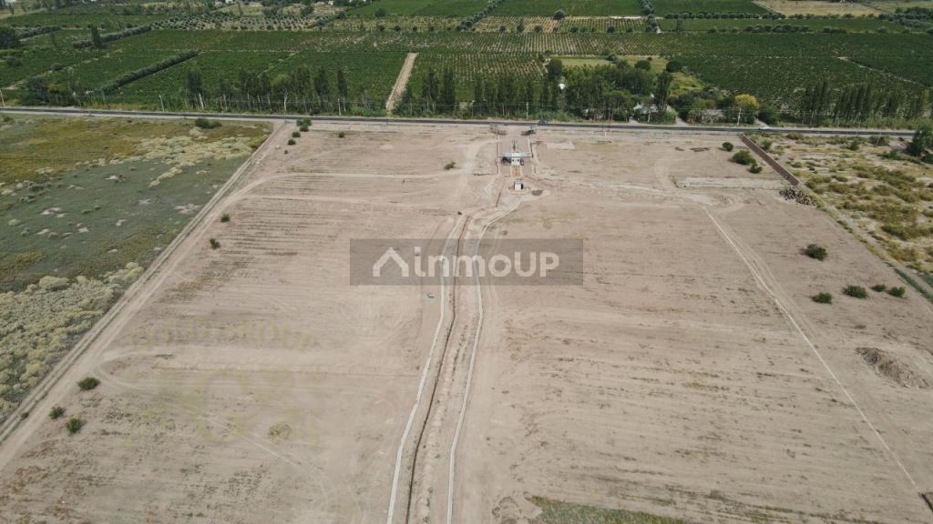 Loteo en Venta en San Martin, Mendoza