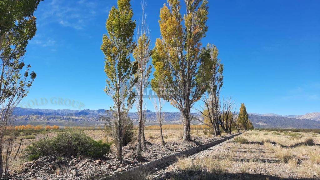 Terreno en Venta en Las Heras, Mendoza