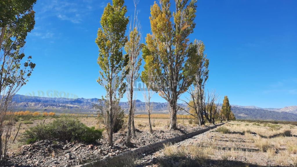 Terreno en Venta en Las Heras, Mendoza