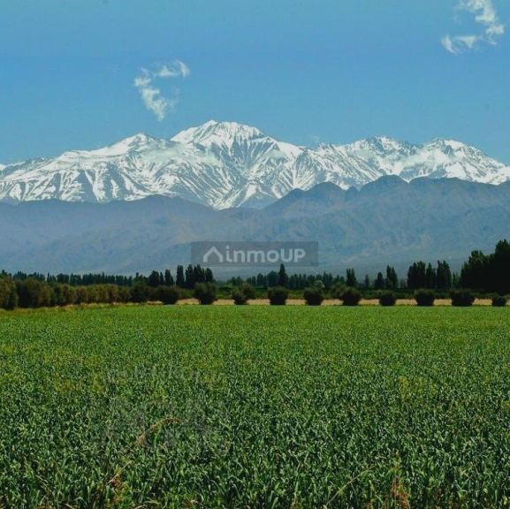 Lote en Venta en Lujan de Cuyo, Mendoza