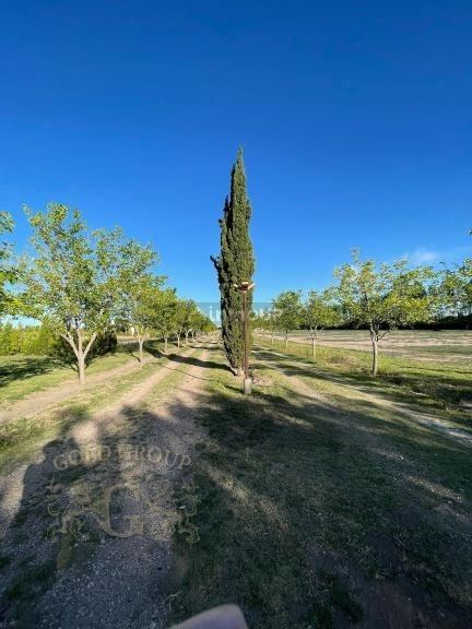 Lote en Venta en San Rafael, Mendoza