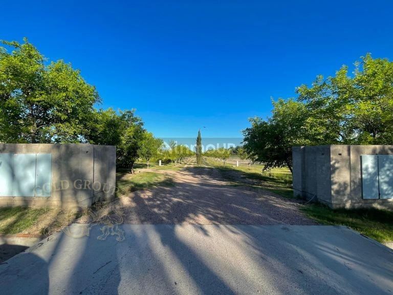 Lote en Venta en San Rafael, Mendoza