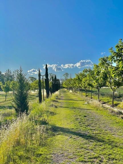 Lote en Venta en San Rafael, Mendoza