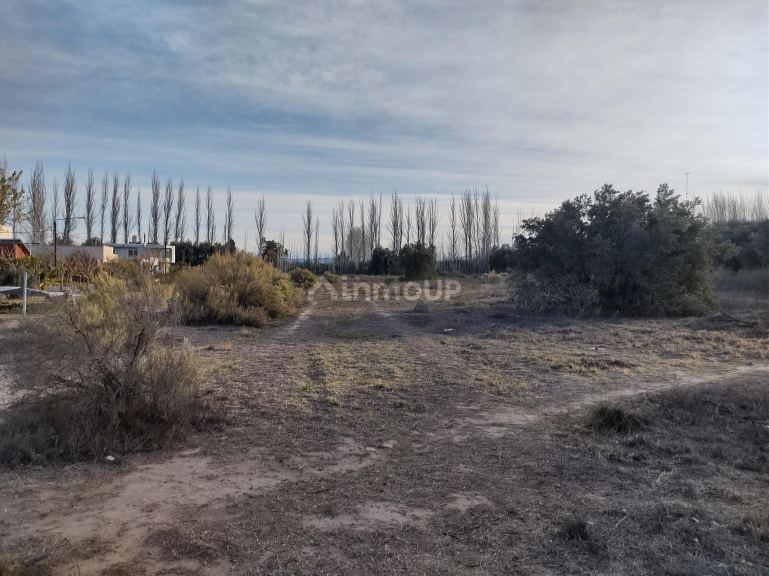 Lote en Venta en San Rafael, Mendoza
