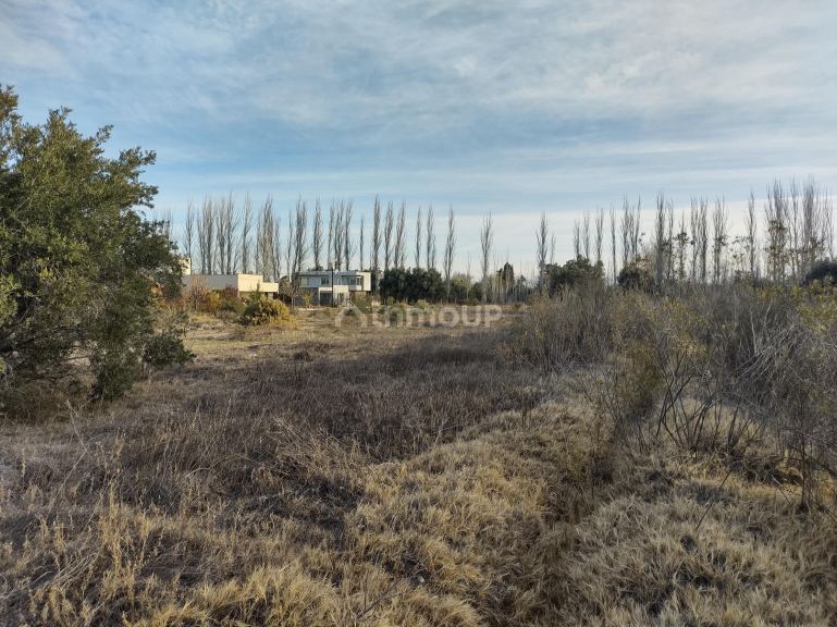 Lote en Venta en San Rafael, Mendoza