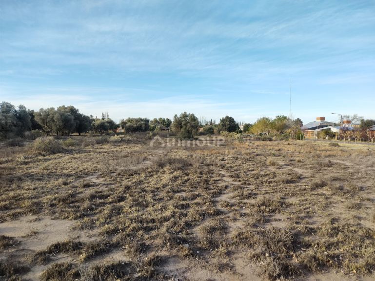 Lote en Venta en San Rafael, Mendoza