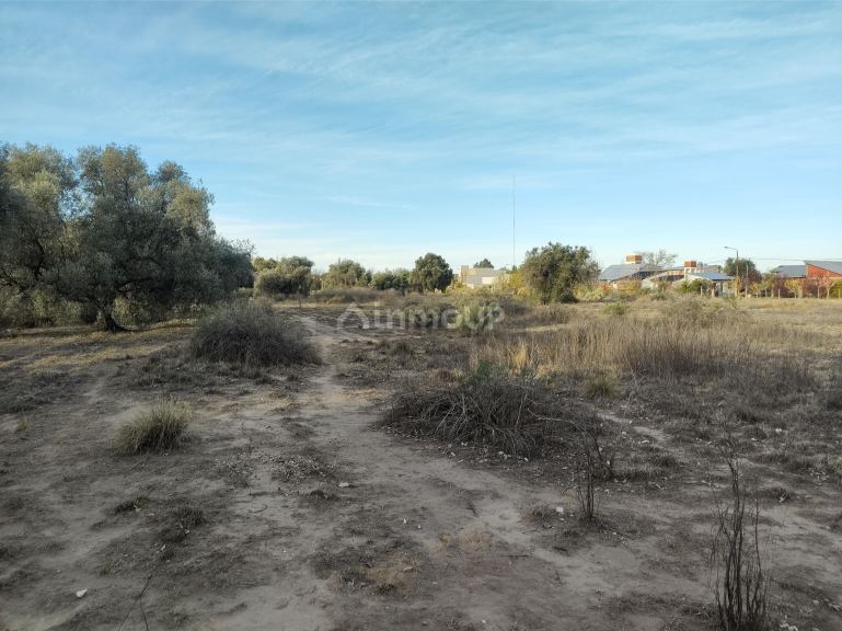 Lote en Venta en San Rafael, Mendoza
