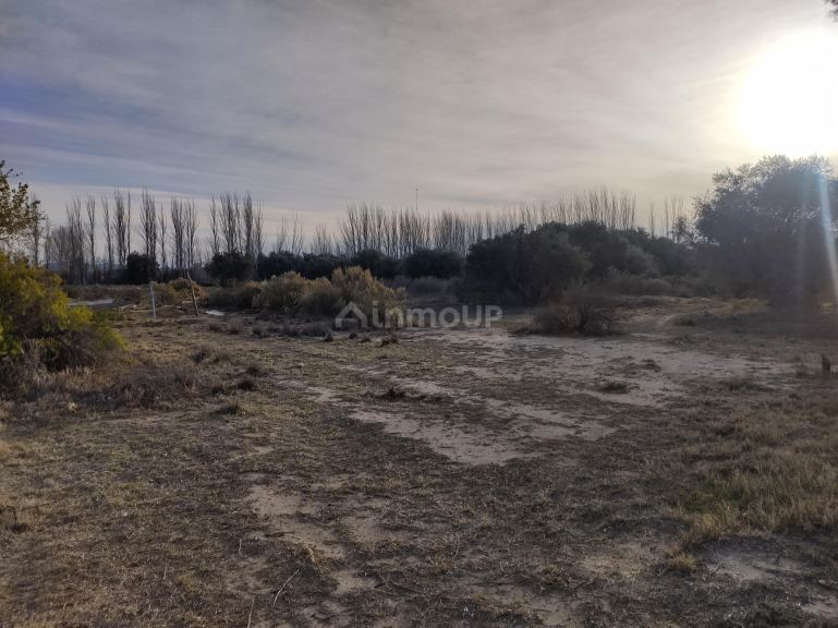 Lote en Venta en San Rafael, Mendoza