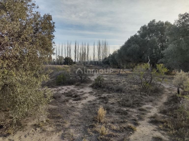 Lote en Venta en San Rafael, Mendoza