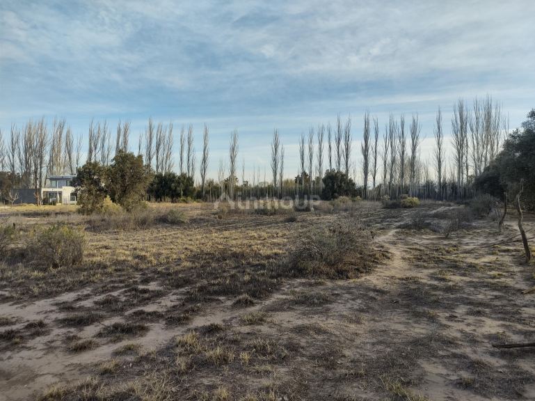 Lote en Venta en San Rafael, Mendoza