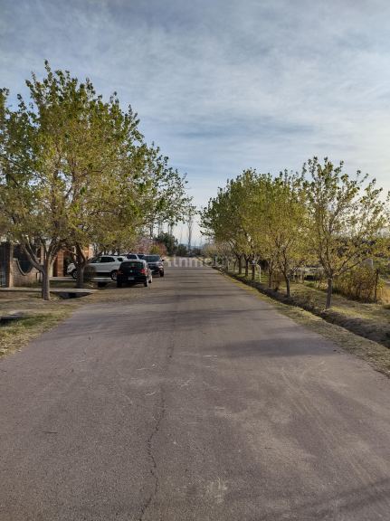 Terreno en Venta en San Rafael, Mendoza