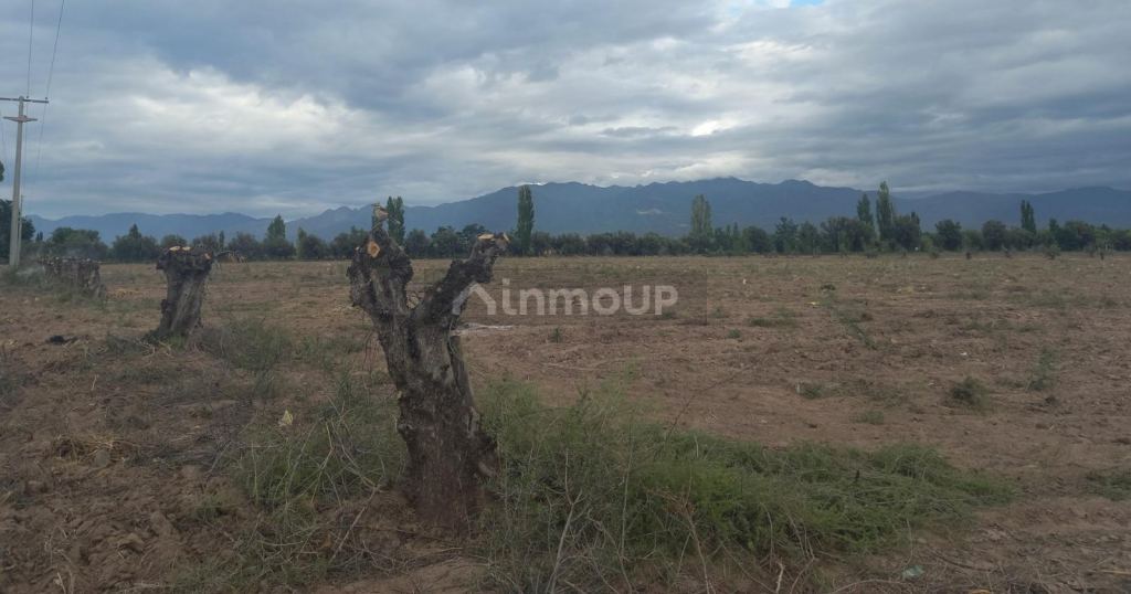 Terreno en Venta en Lujan de Cuyo, Mendoza