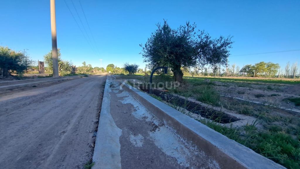 Terreno en Venta en Lujan de Cuyo, Mendoza